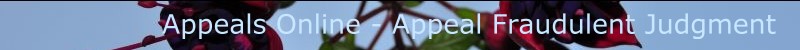 Appeals Online - Appeal Fraudulent Judgment