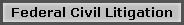 Federal Civil Litigation