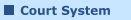 Court System