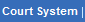 Court System