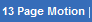 13 Page Motion