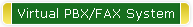 Virtual PBX/FAX System