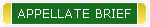 APPELLATE BRIEF